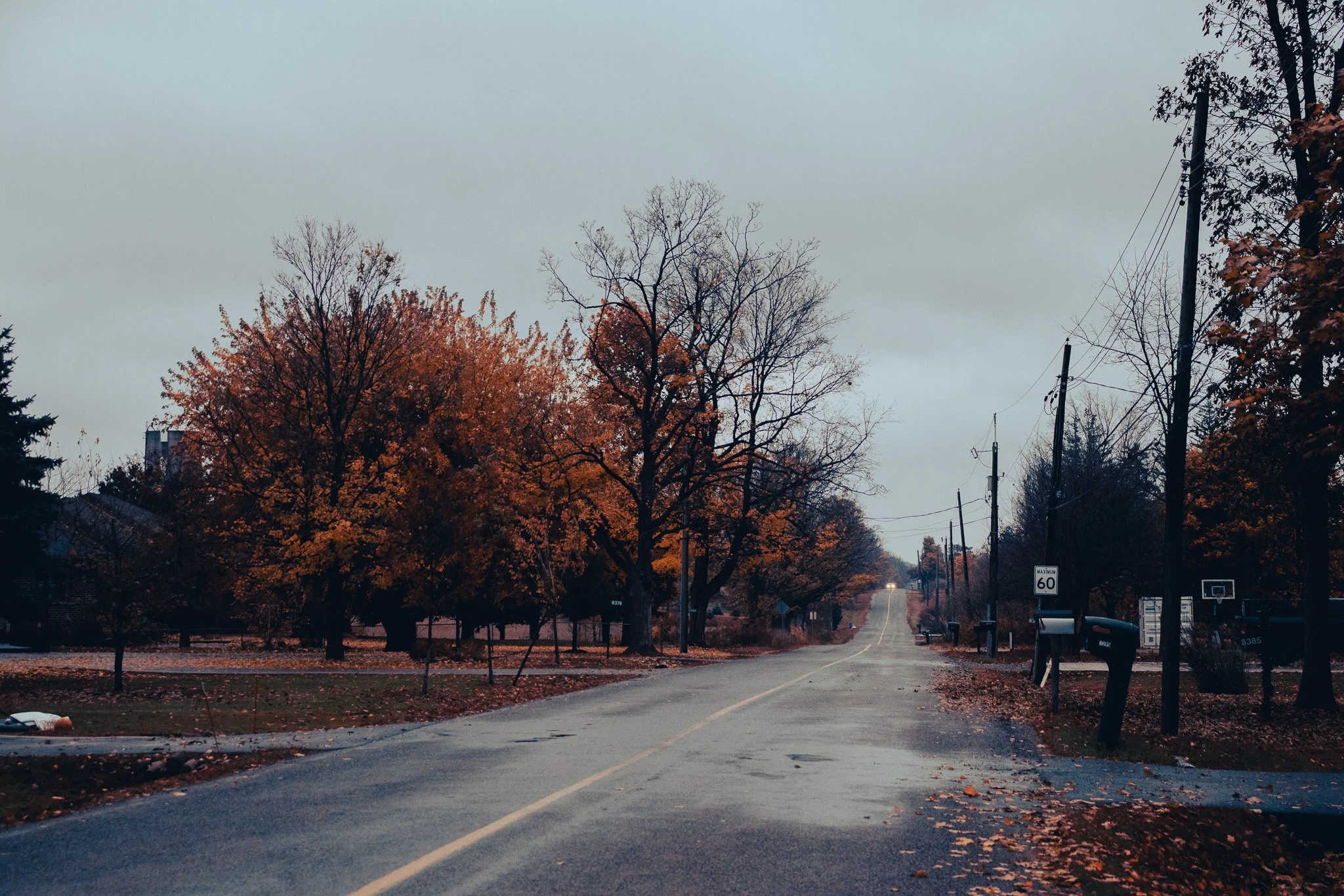 A quiet suburban street during late fall, lined with leafless and some colorful trees, with utility poles and wires running alongside the road. The sky is overcast and the scene appears to be early evening or late afternoon.