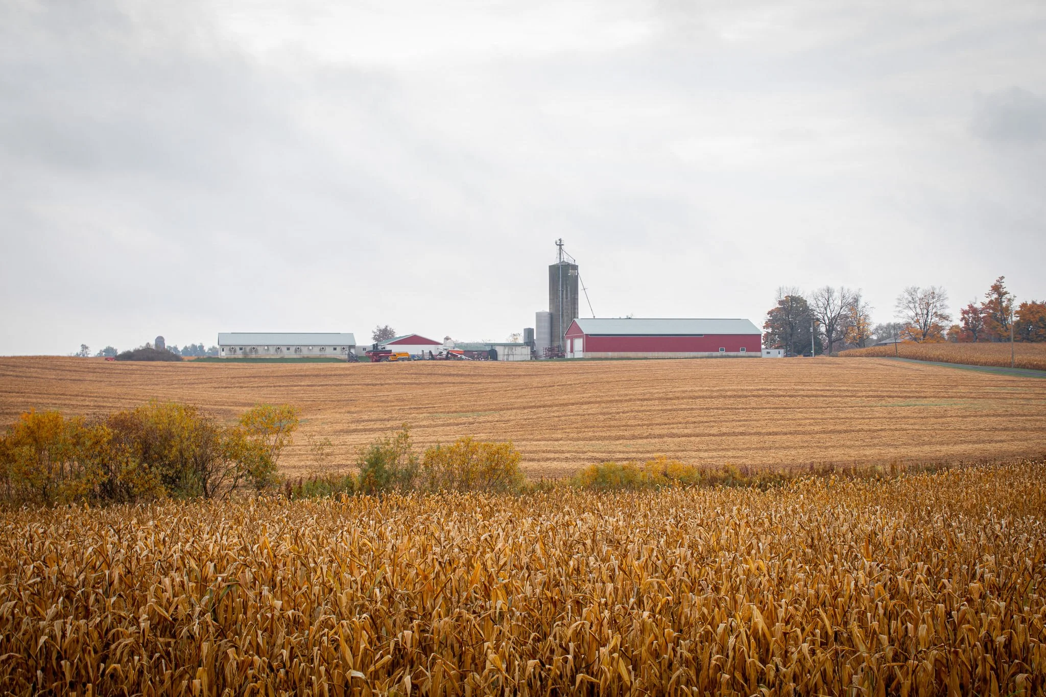 Farm with crops in the foreground, several farm buildings and silos in the distance, and trees with fall foliage under a cloudy sky.