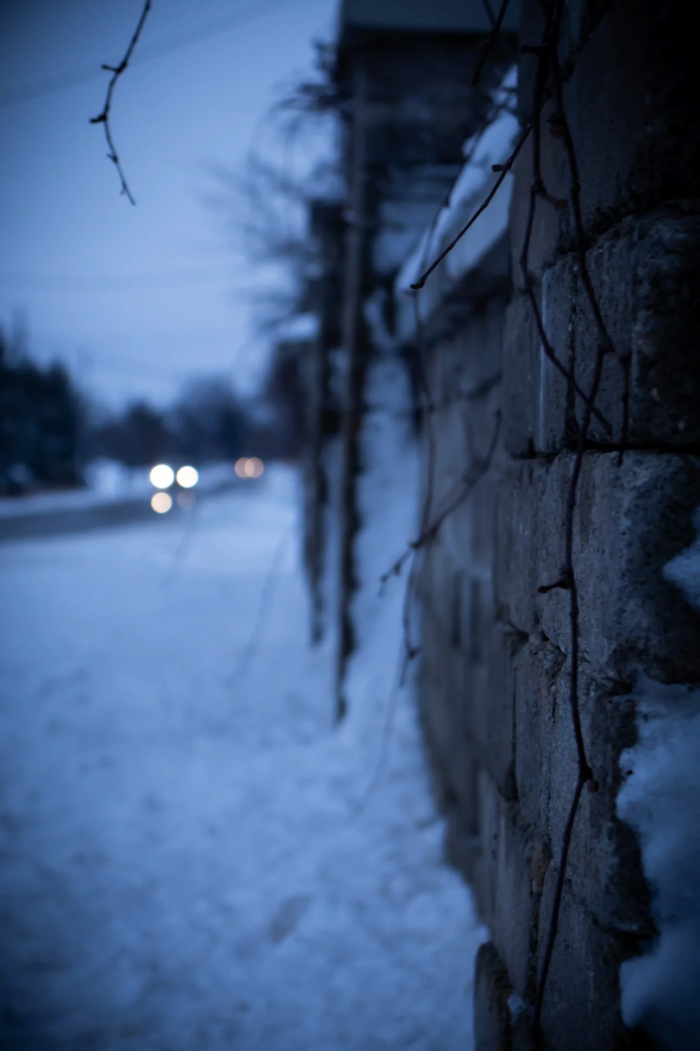 Close-up of a brick wall with dark vines or twigs in front, with a blurred background of a snow-covered street with car headlights in the distance during dusk.