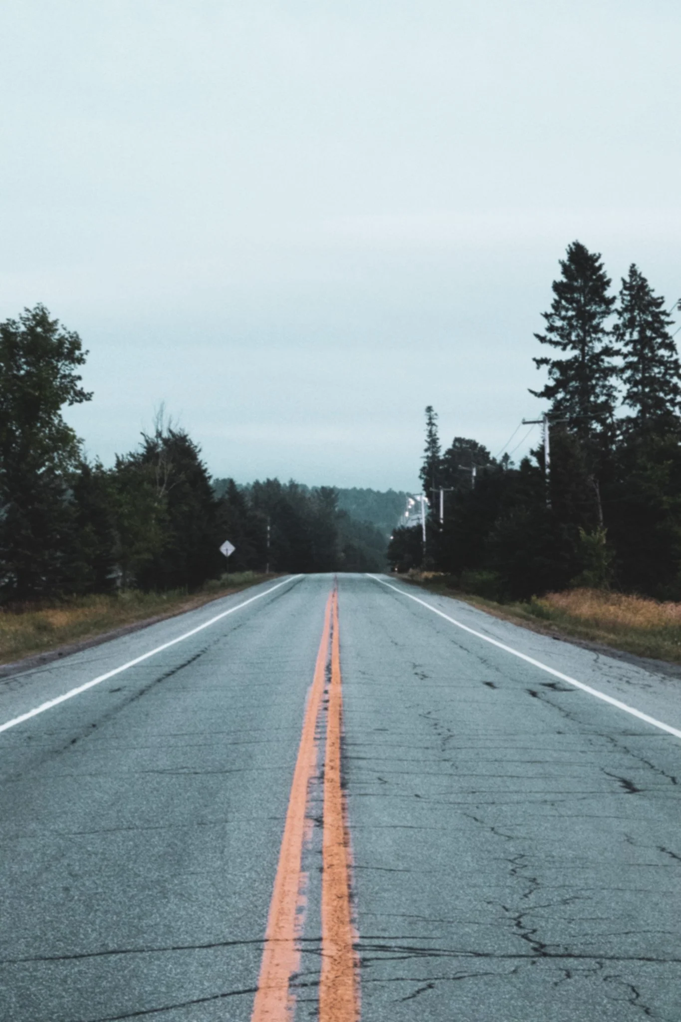 Empty two-lane road with double yellow line, cracked pavement, surrounded by trees and utility poles, under a cloudy sky.