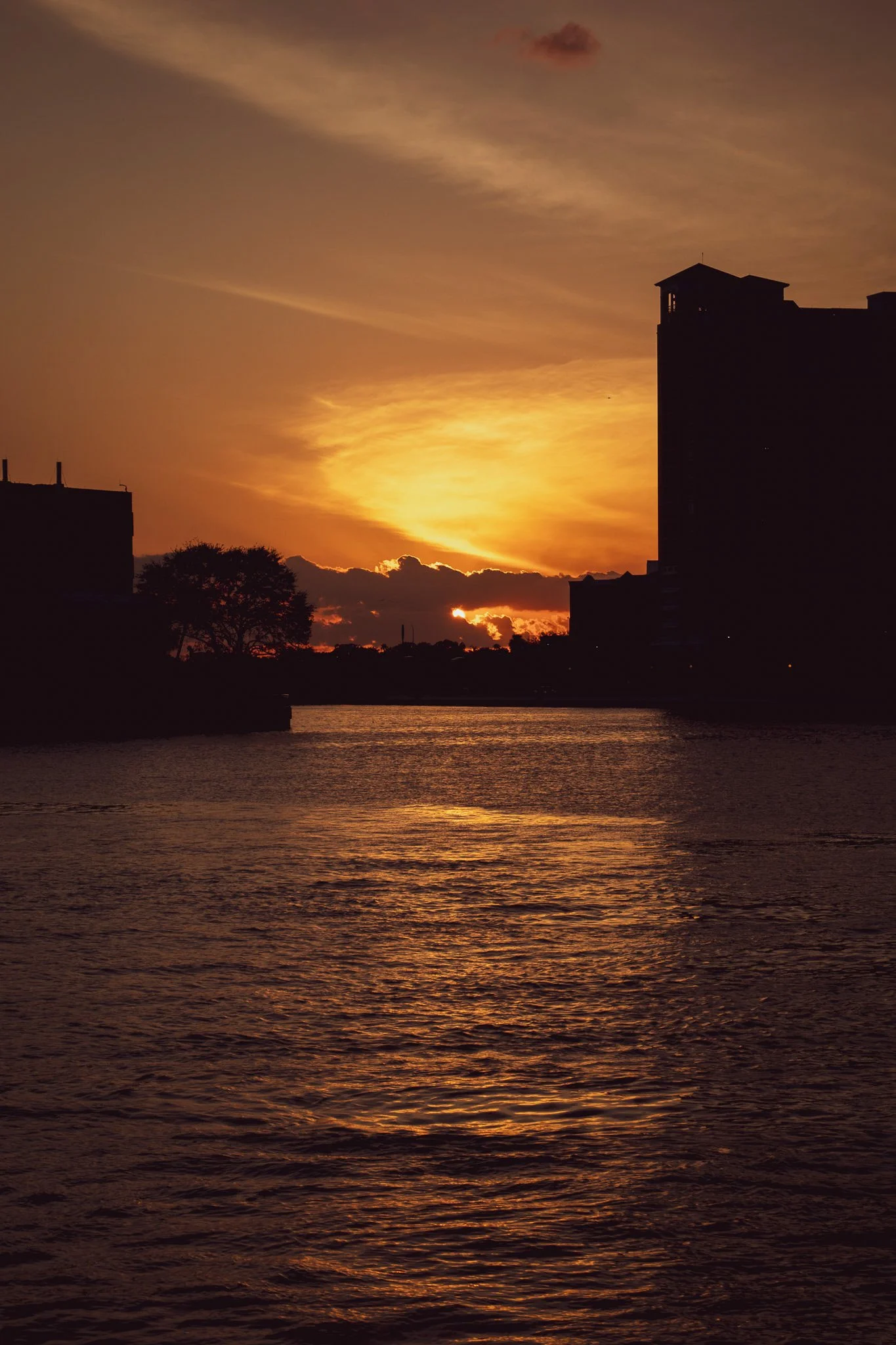 Sunset over a body of water with silhouetted buildings and trees