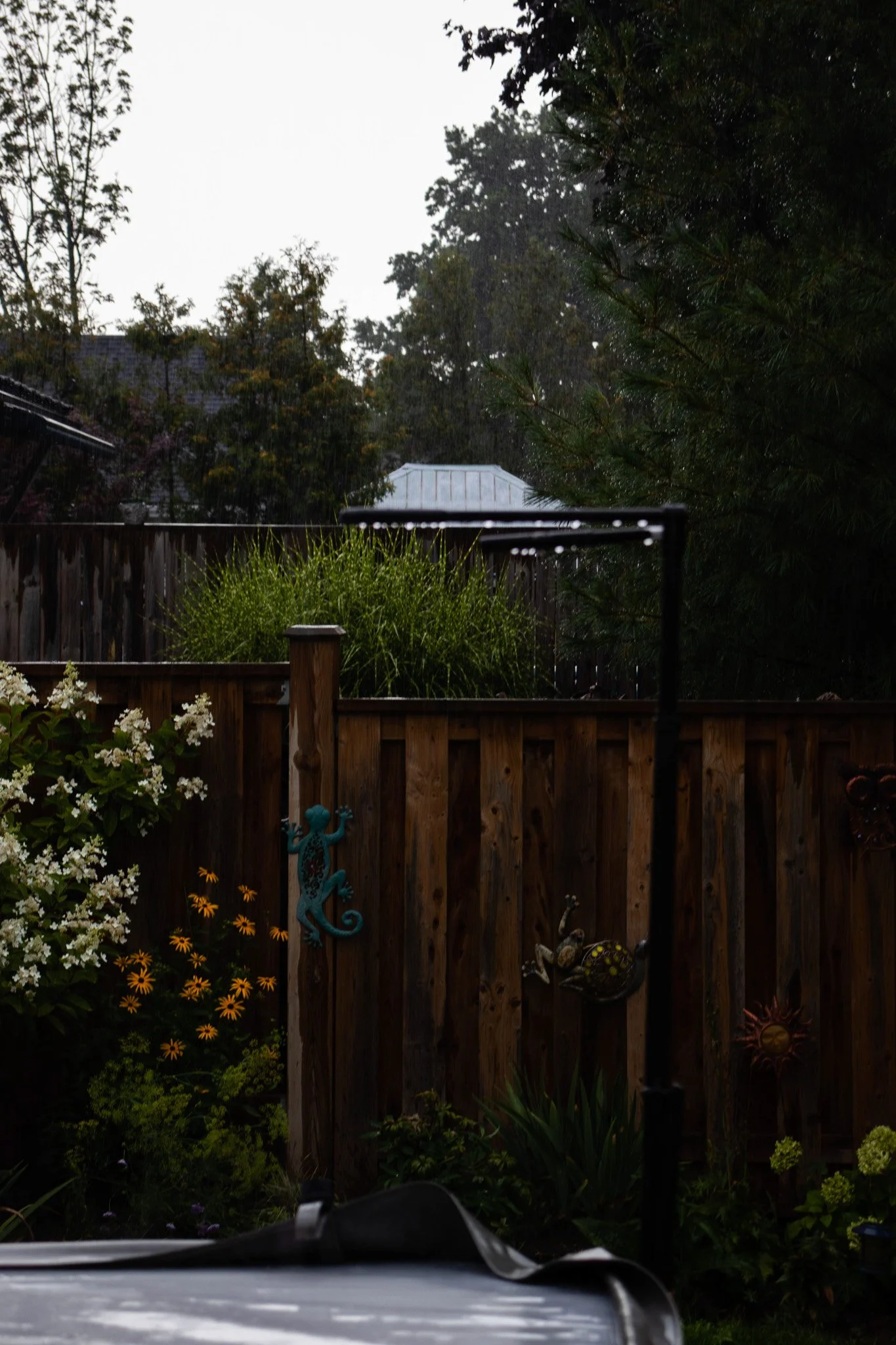 Backyard garden view with a wooden fence, various plants, flowers, garden ornaments, and a metal frame structure in the foreground. In the background, trees, shrubs, and a cloudy sky.
