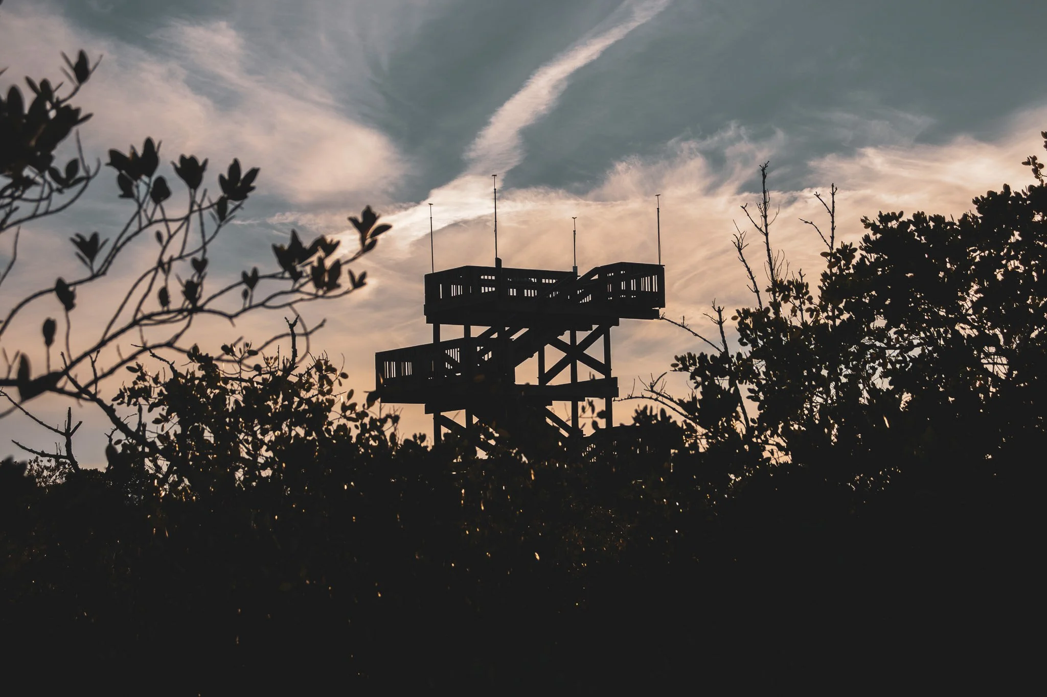 Silhouette of a wooden observation tower in the distance, surrounded by trees, with a sky filled with clouds and contrails during sunset or sunrise.