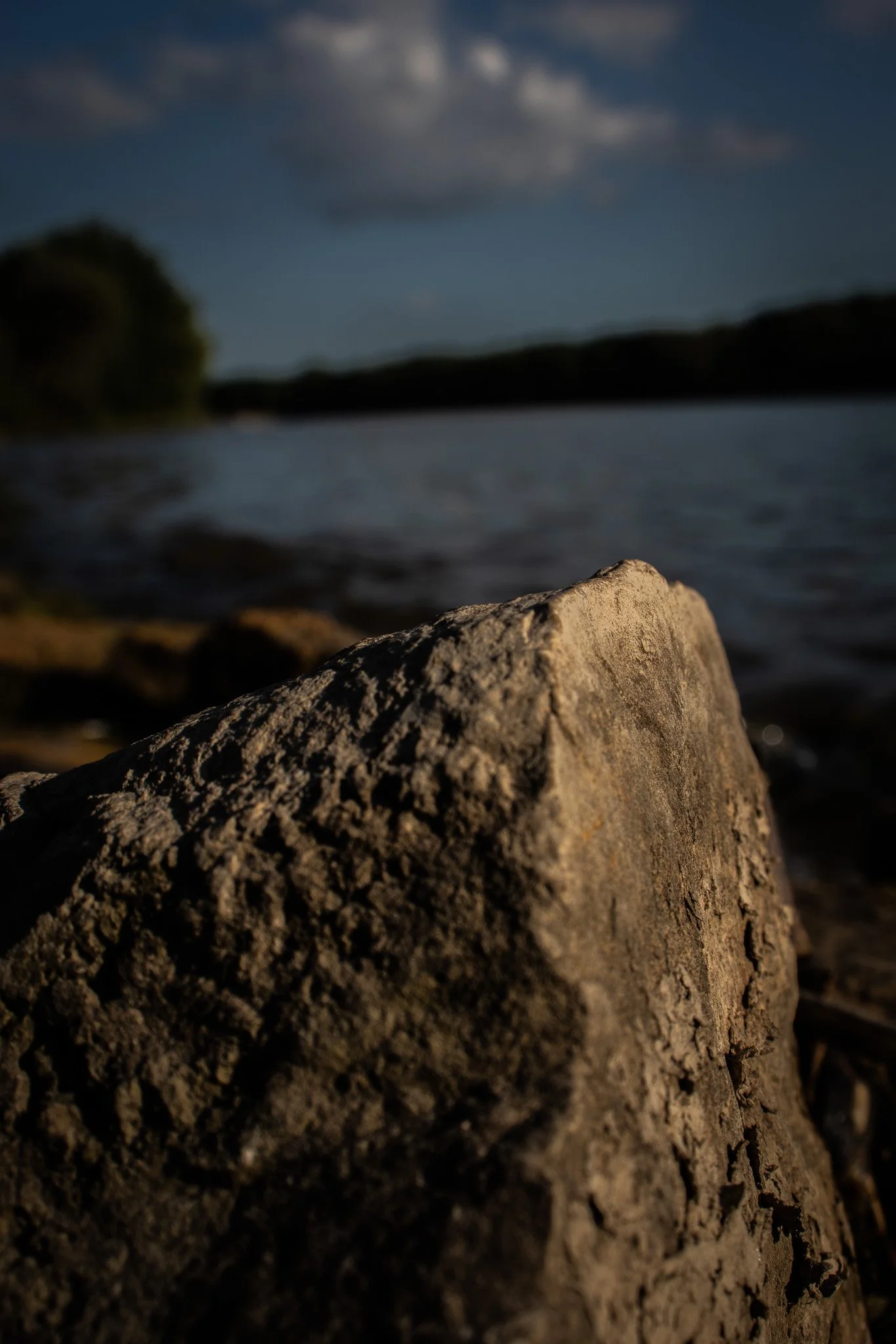 Close-up of a textured rock in the foreground with a blurred landscape of water, trees, and sky in the background during daylight.
