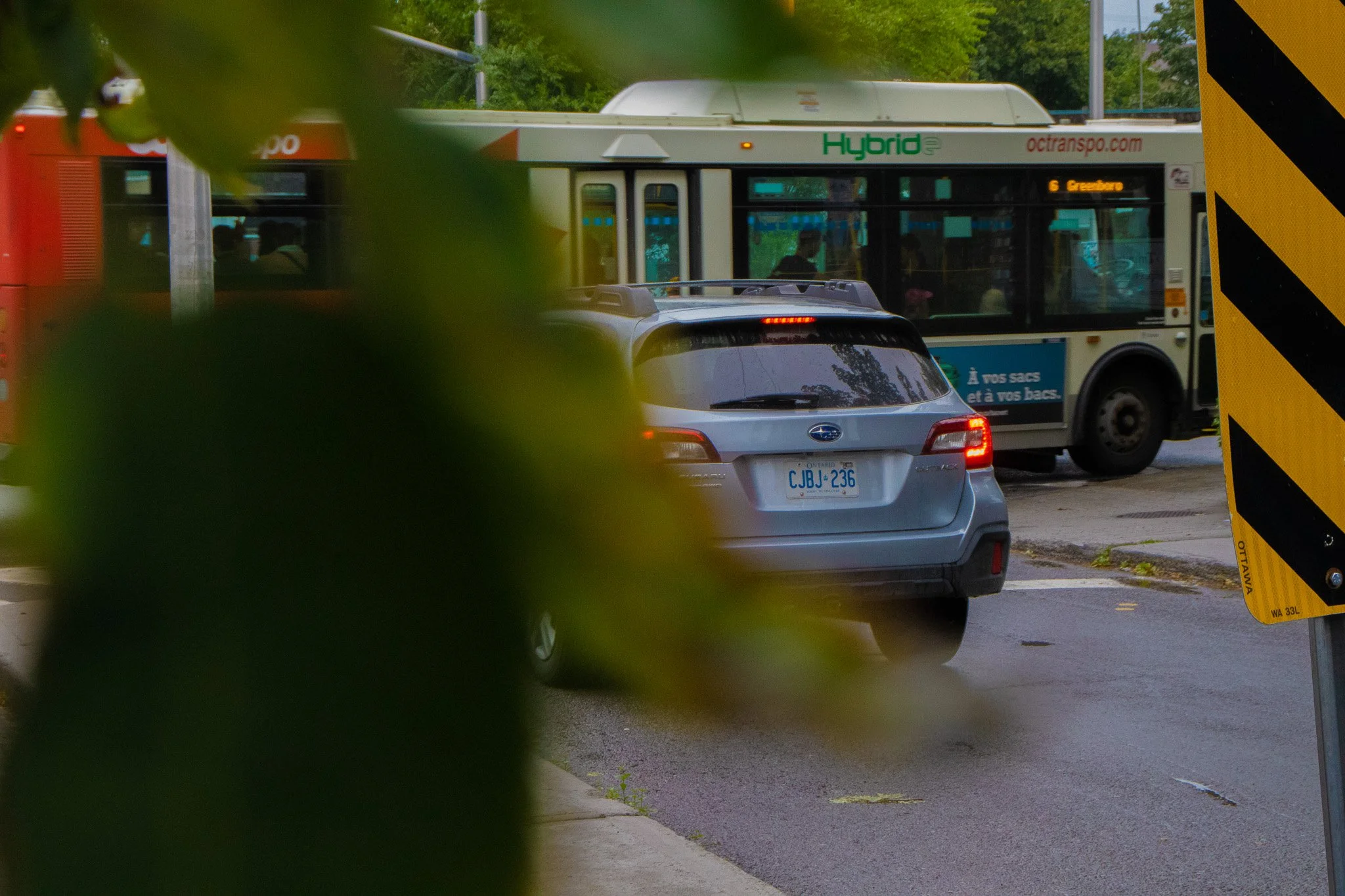 A small purple SUV parked on the side of a city street, with a public transit bus in the background. The bus displays a route to Cleveland and has the website octranspo.com on its side. The scene is partially obscured by green leaves in the foregroun