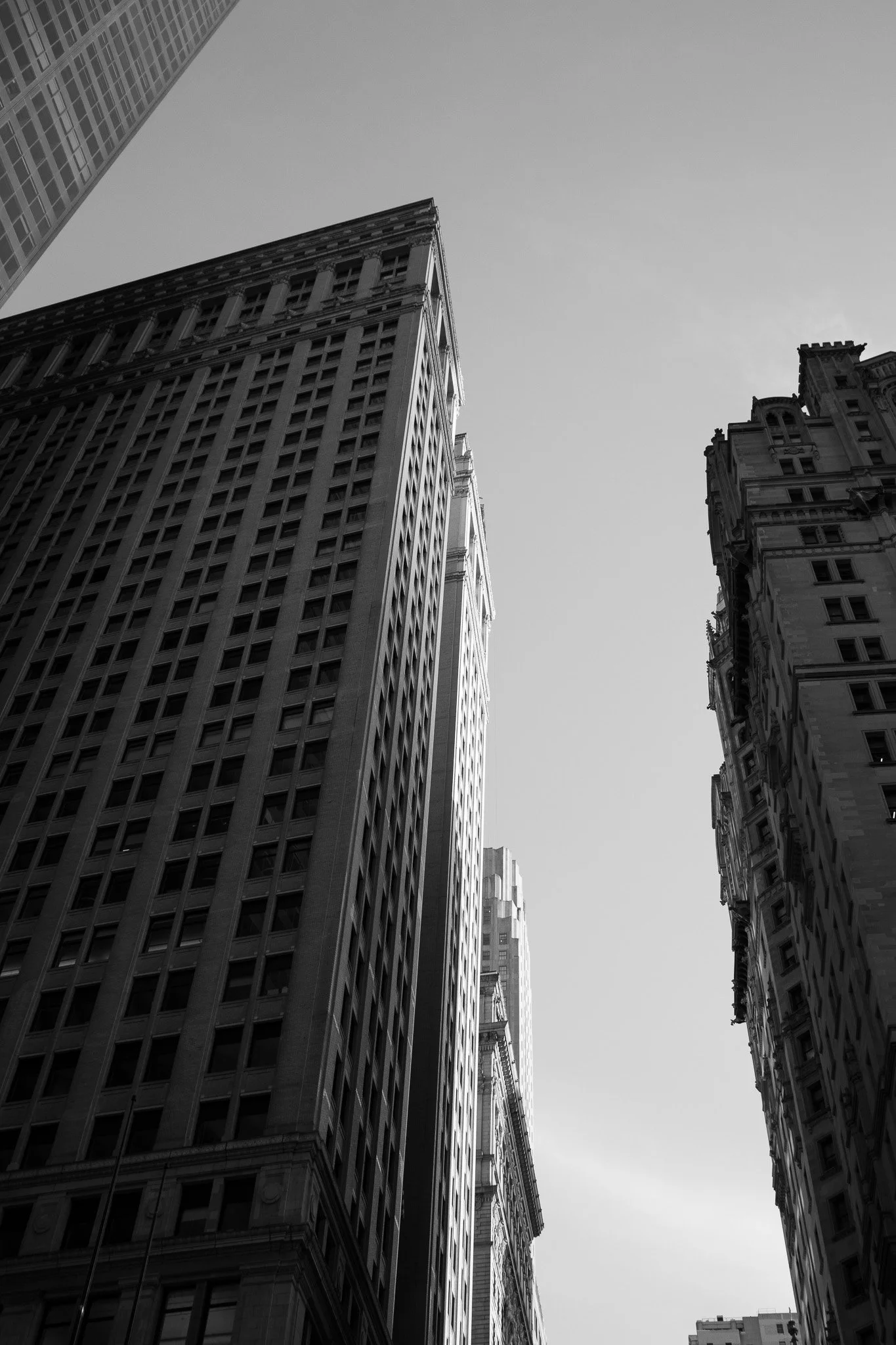 Black and white photo from below of tall skyscrapers with classic architecture, showing detailed facade and windows.