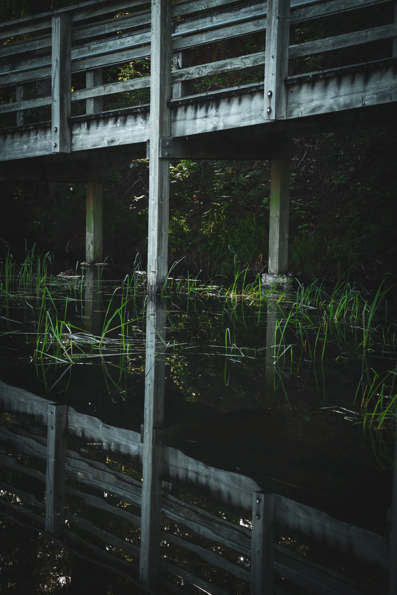 Wooden bridge over a calm body of water, with green plants and trees in the background, and their reflection visible on the water surface.