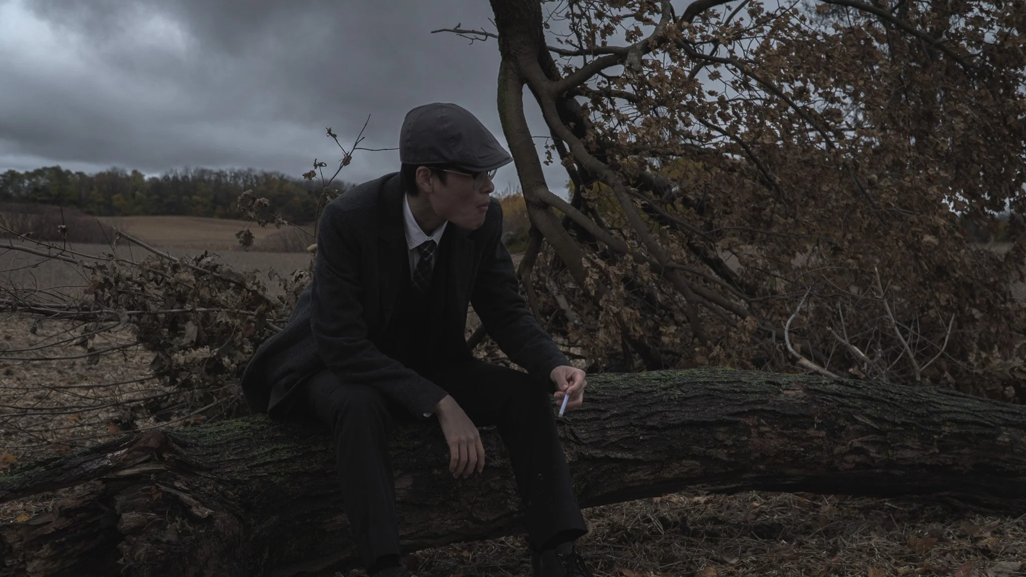 A person sitting on a fallen tree in a rural, overcast landscape with cloudy sky, dressed in dark clothing and wearing a flat cap, holding a cigarette, surrounded by fallen leaves and branches.