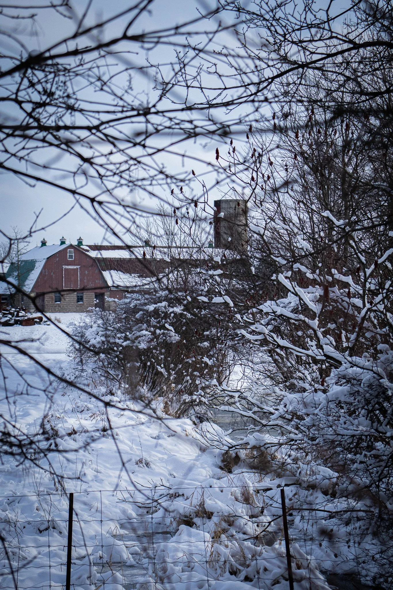Snow-covered landscape with leafless trees, a red barn, a water stream, and a building with a chimney in the background, during winter.