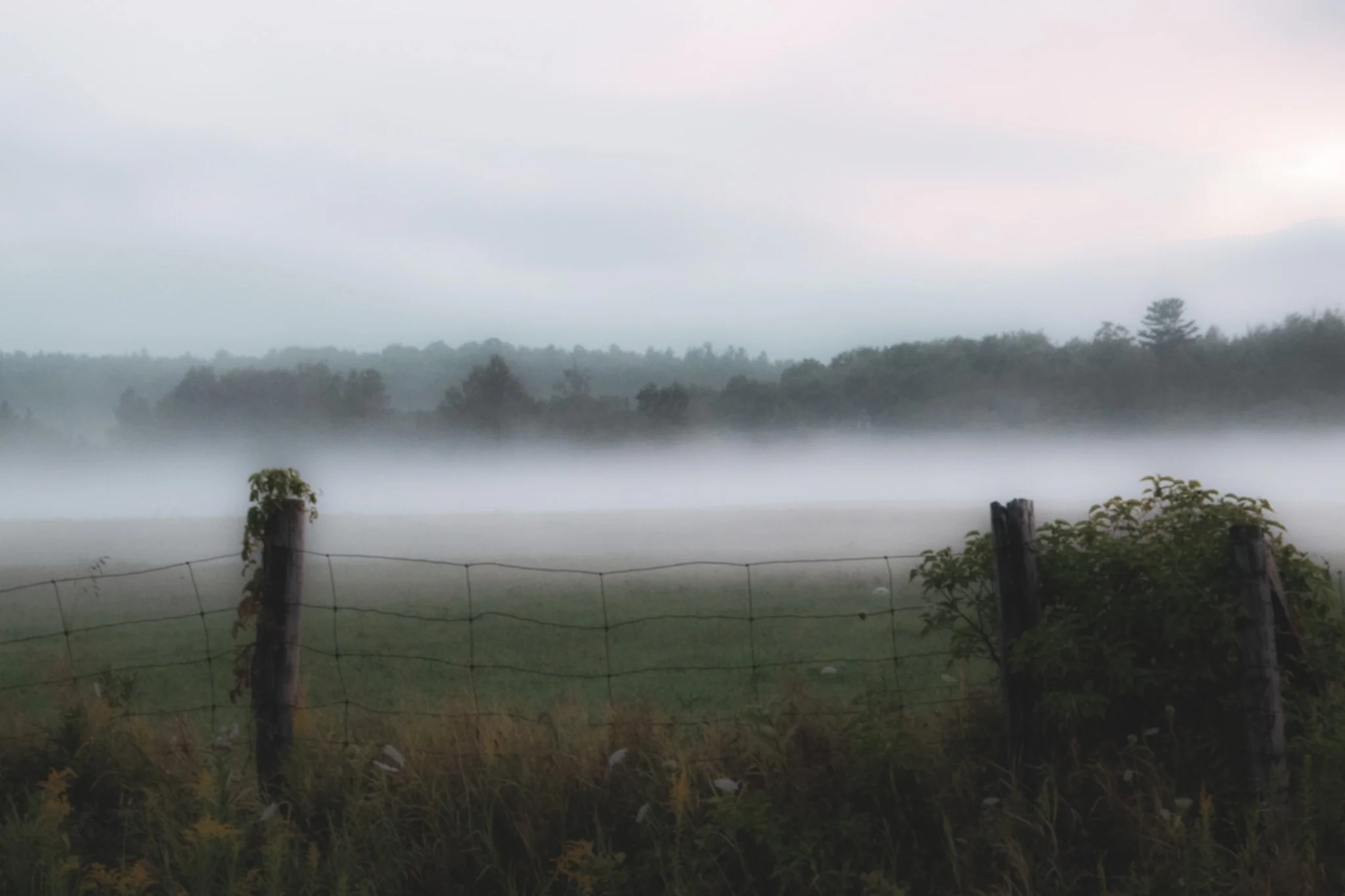 A foggy rural landscape with a field, a wire fence in the foreground, and trees in the distance under an overcast sky.