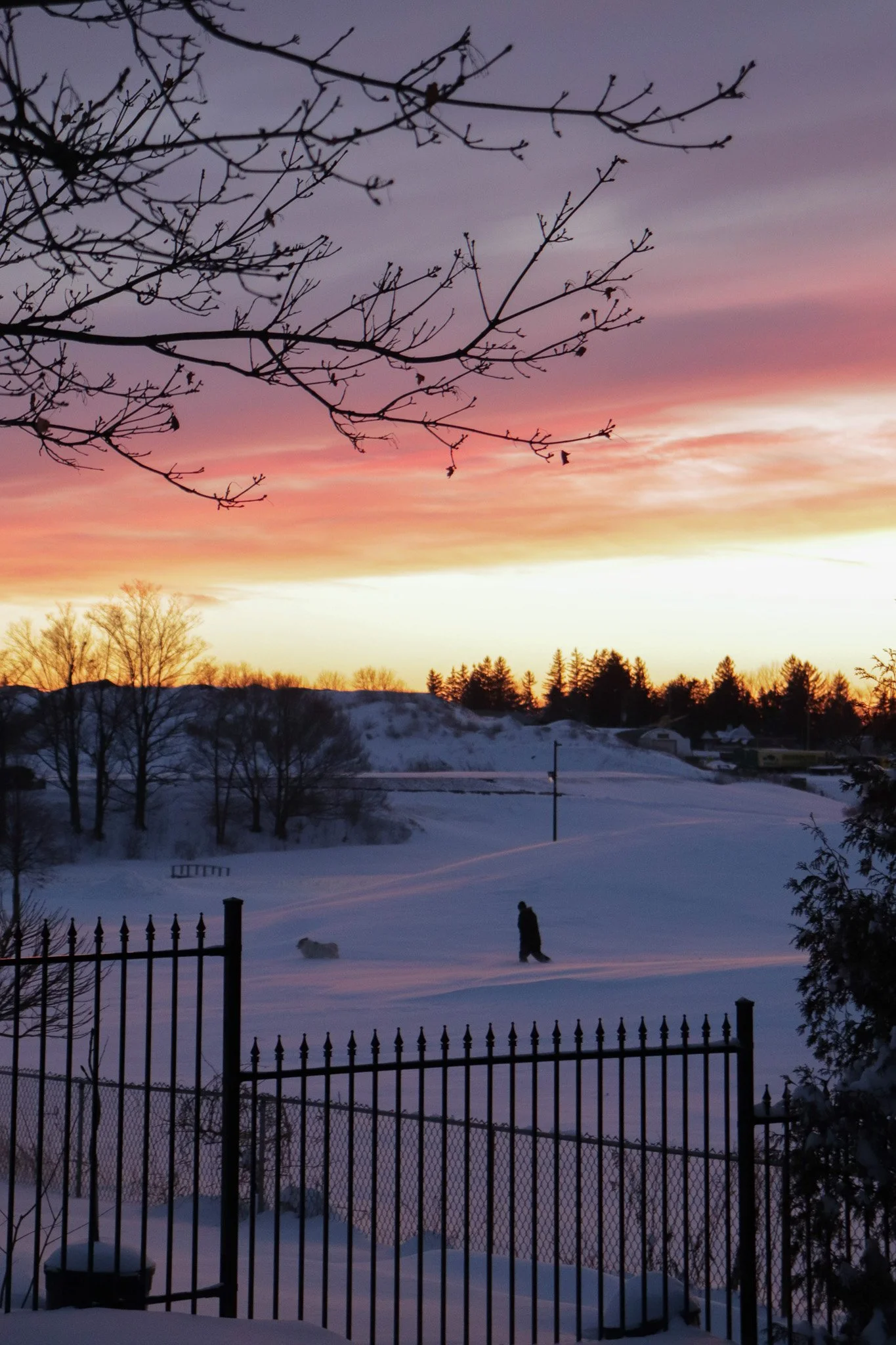 A snowy landscape at sunset with a fence in the foreground, leafless trees, and a person walking a dog in the distance.