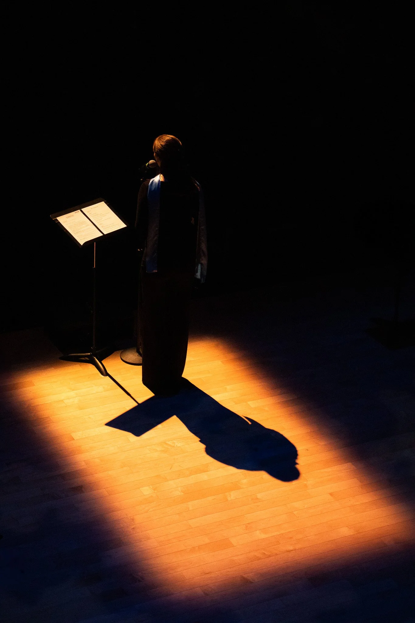 A person standing on a wooden stage with a music stand and a microphone in front of them, illuminated by a single spotlight, casting a long shadow.