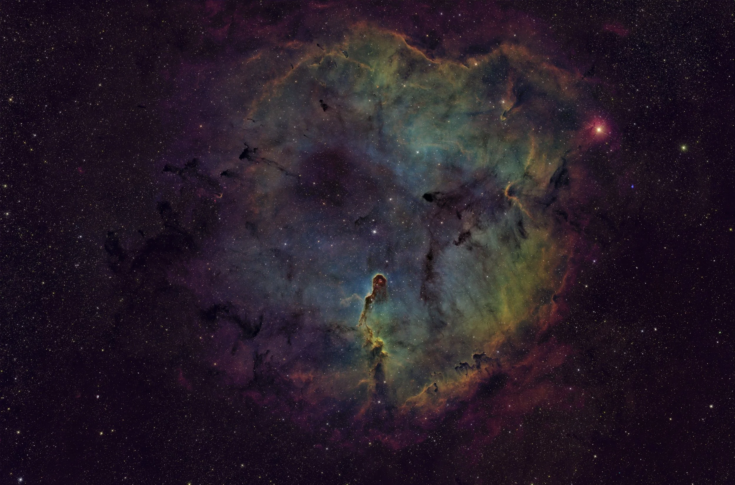 ElephantTrunkMosaic_25%.jpg