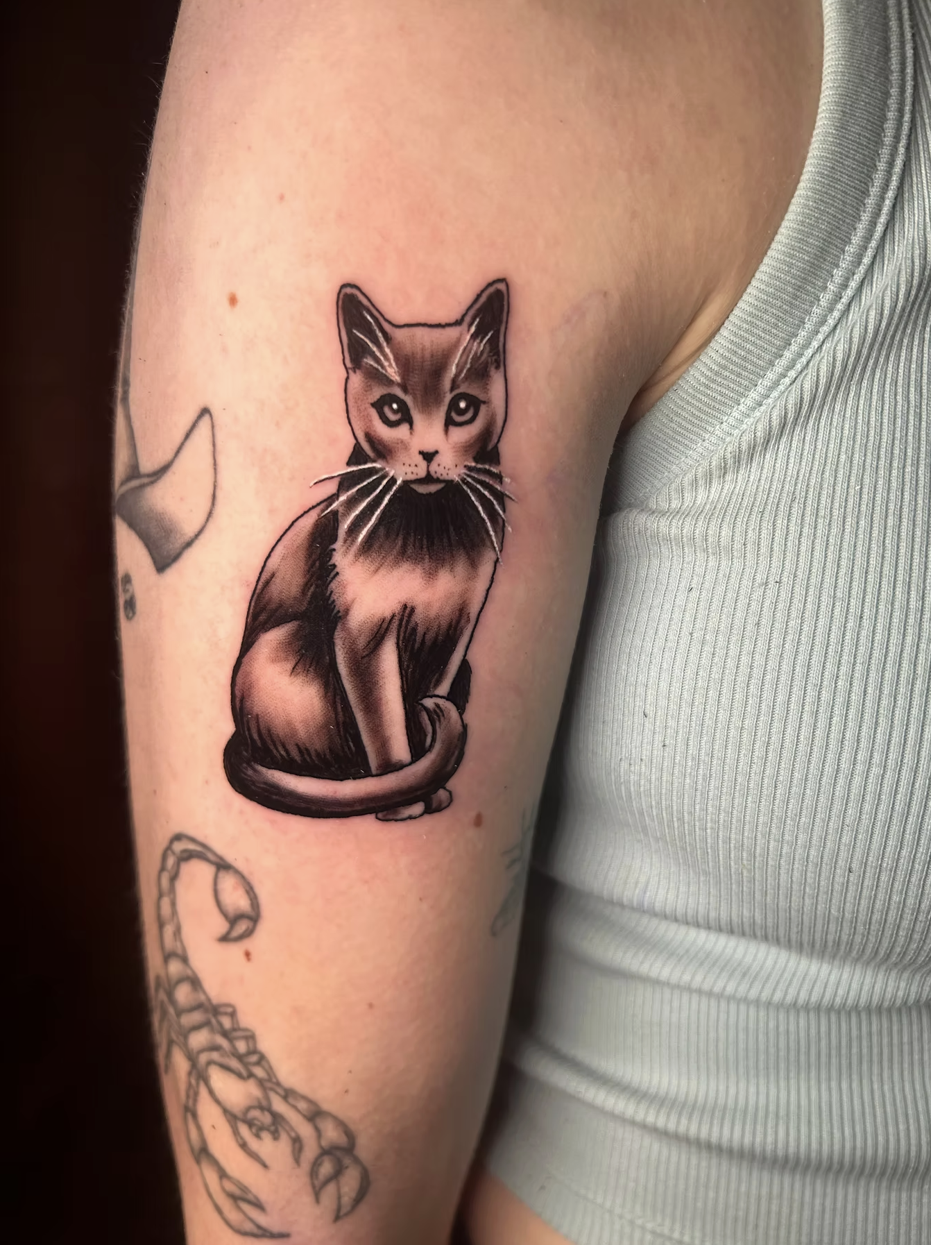 Screenshot 2026-04-22 at 12.06.04 PM.png