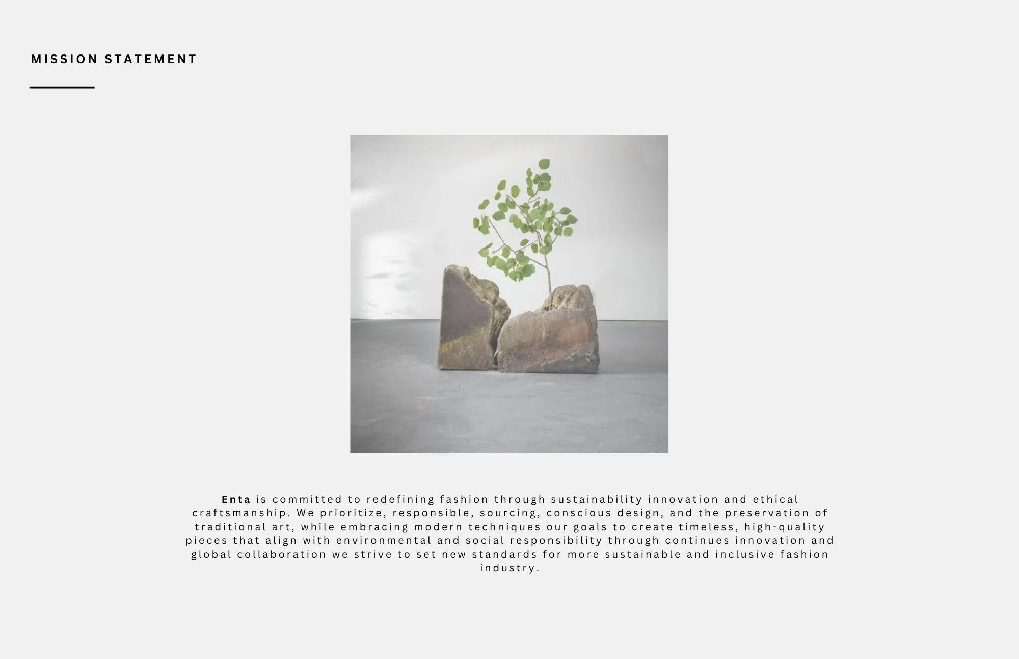 mission, vision and values.jpg