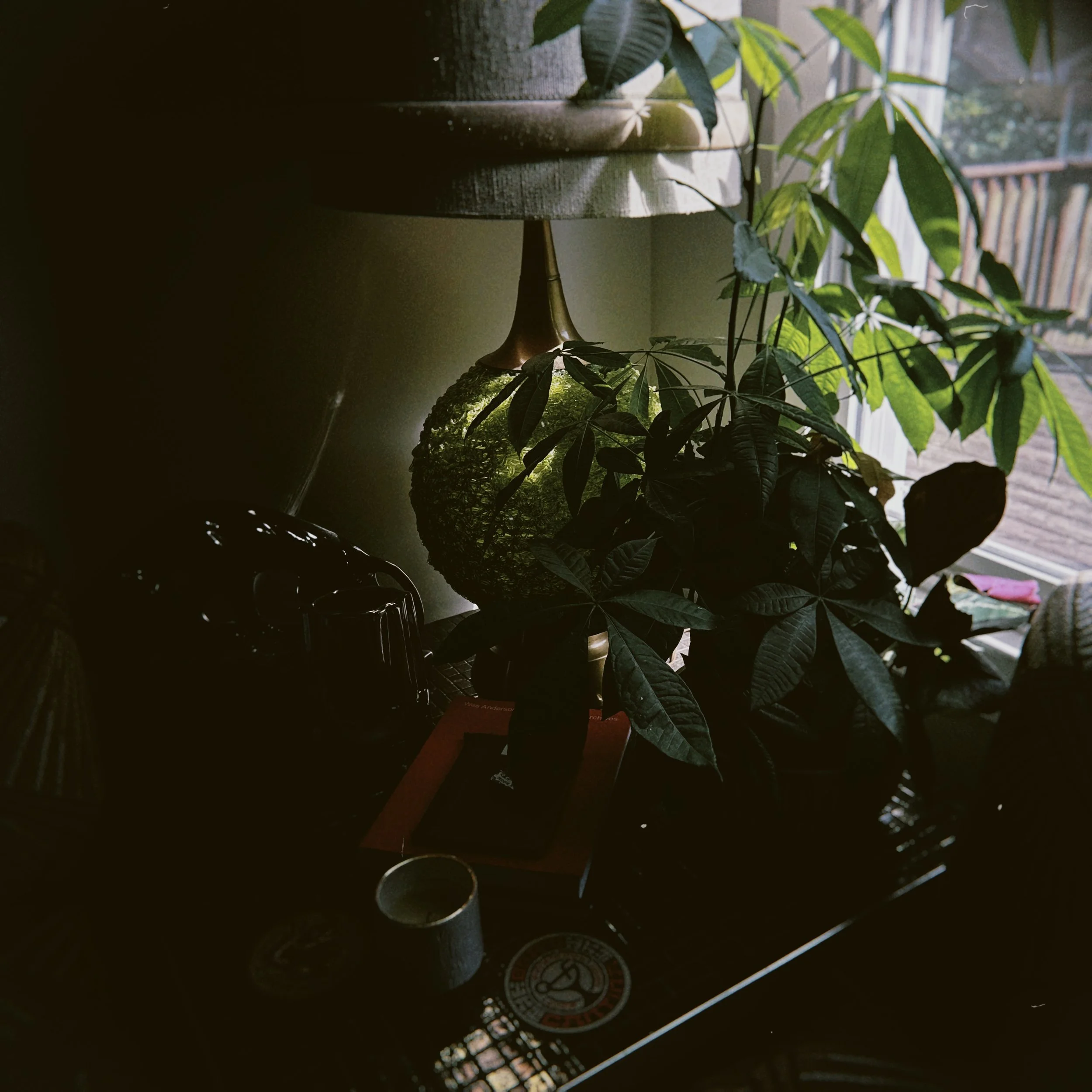 Close-up of a vintage black typewriter with some green plants and sunlight in the background.