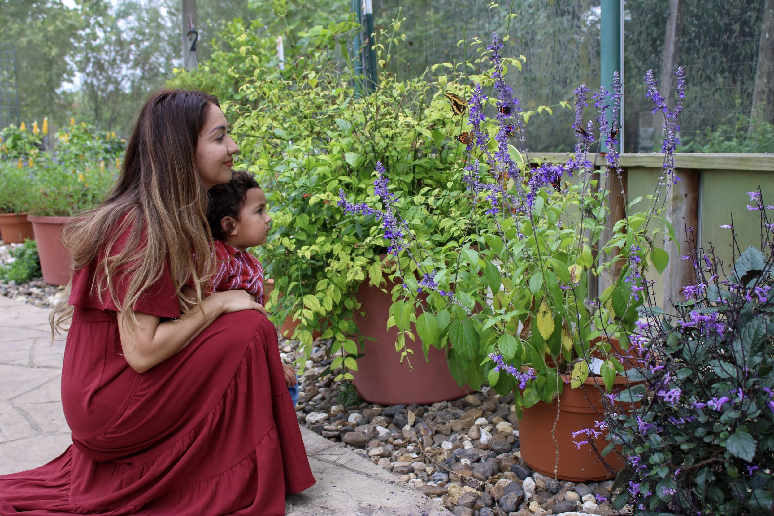 A woman with long brown hair and a young boy with curly hair kneel in front of purple flowering plants in pots inside a greenhouse, observing butterflies flying around.
