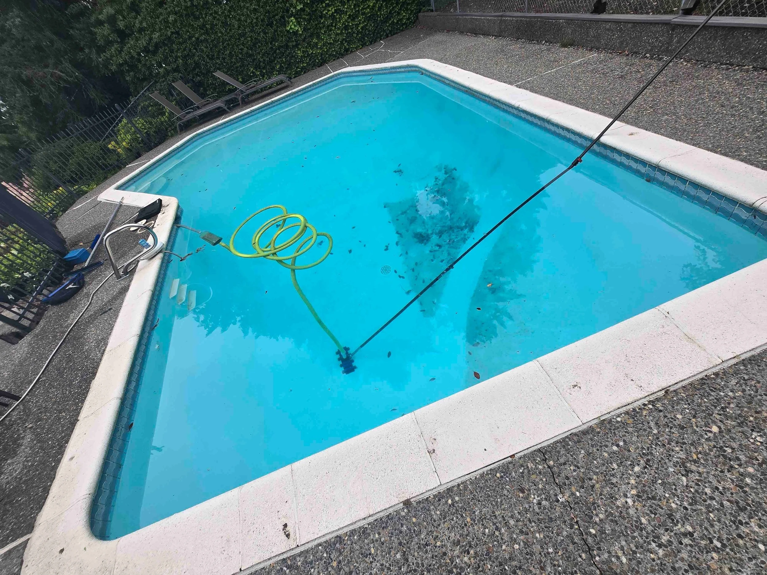 In-ground swimming pool with blue water, a green garden hose and pool cleaning tools on the pool's edge.