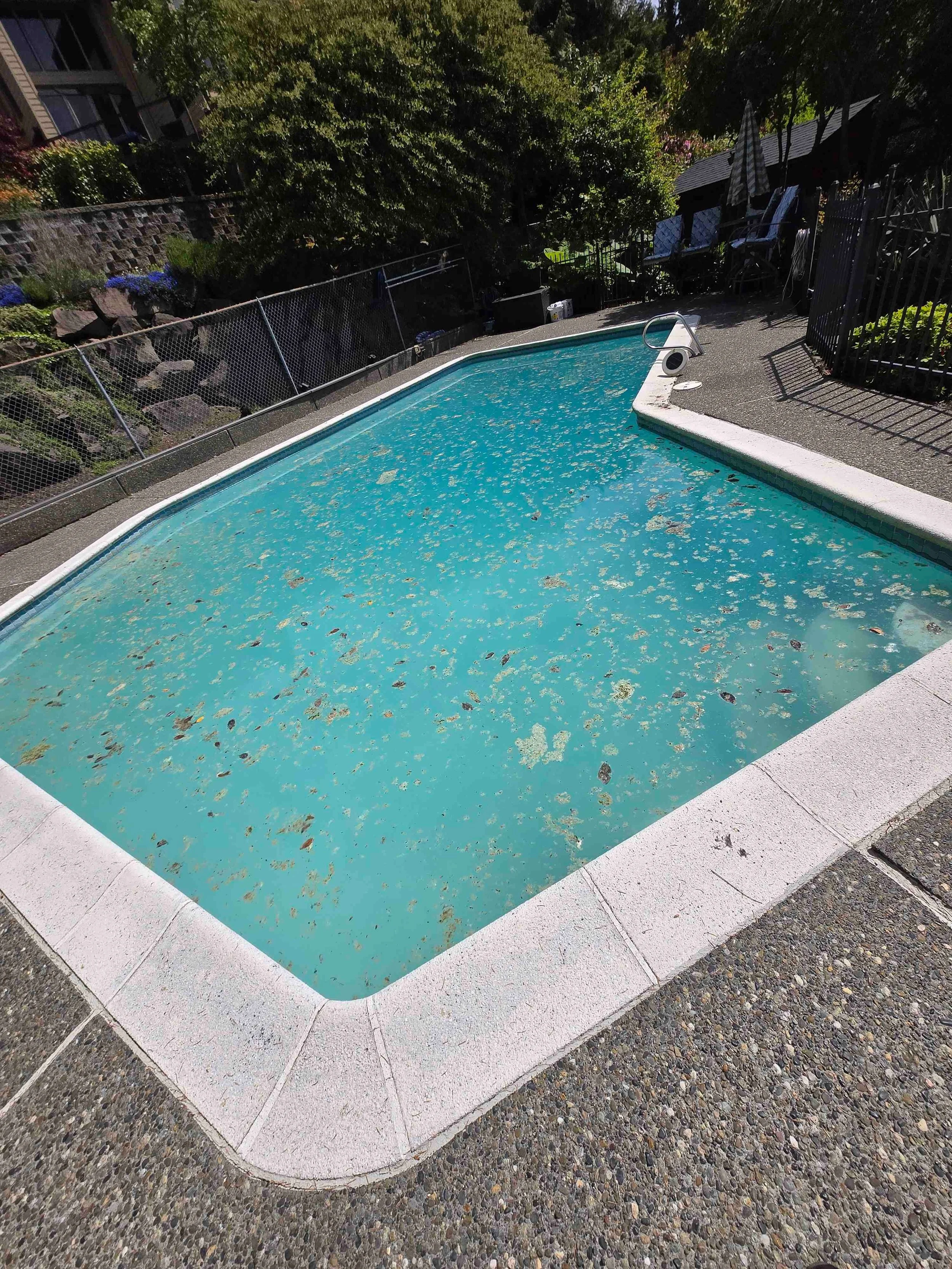An outdoor swimming pool with algae and dirt on the water surface.