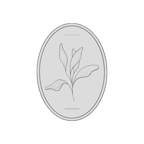 Line drawing of a botanical illustration inside an oval frame, showing a plant with four leaves.