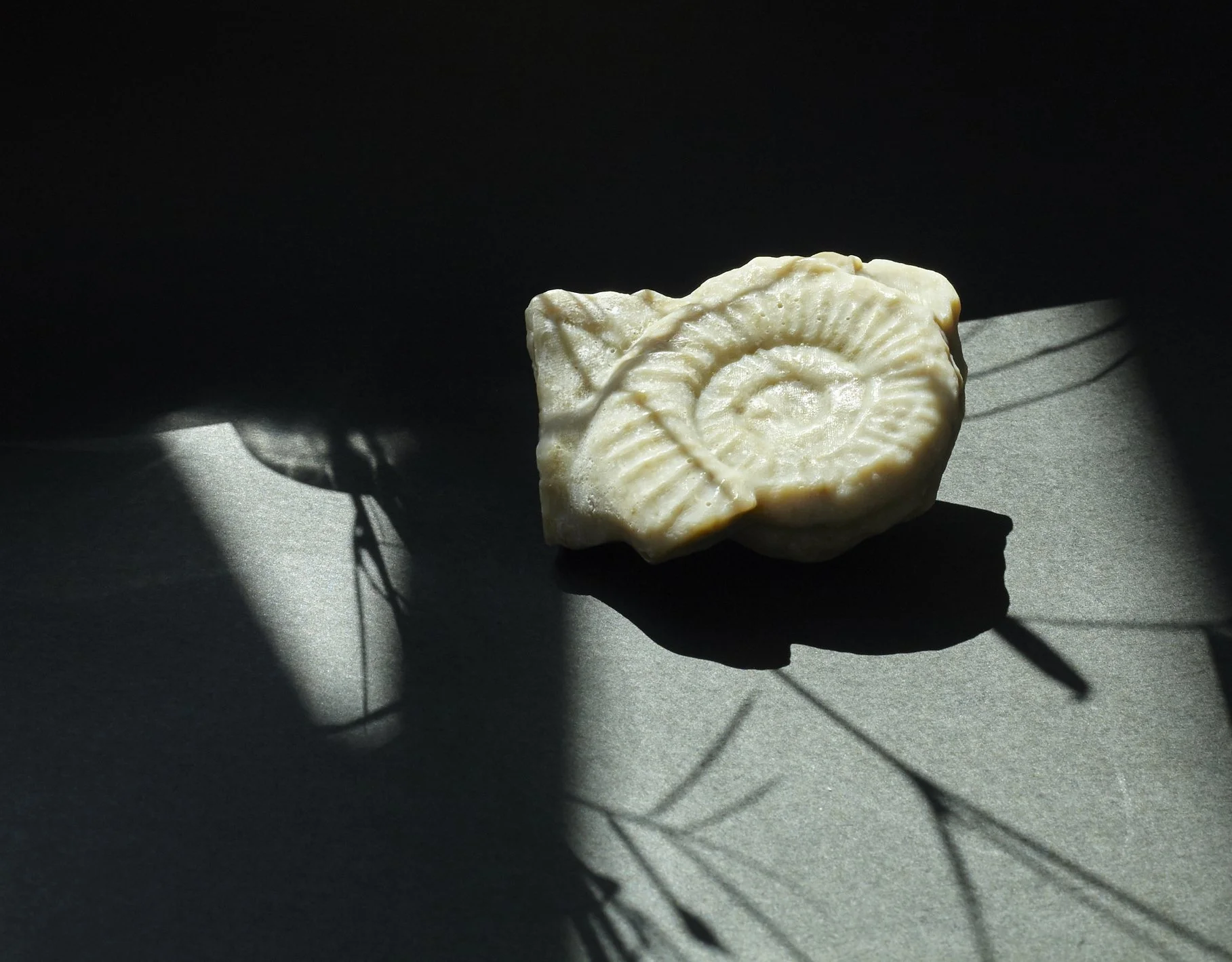 Green kelp soap