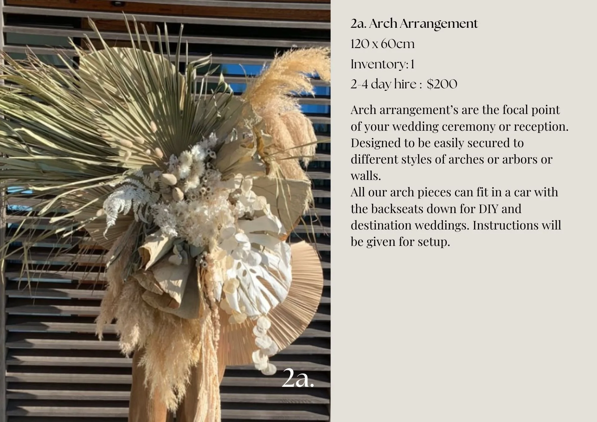 Dried Flower Hire Catalogue 2526 (5).jpg