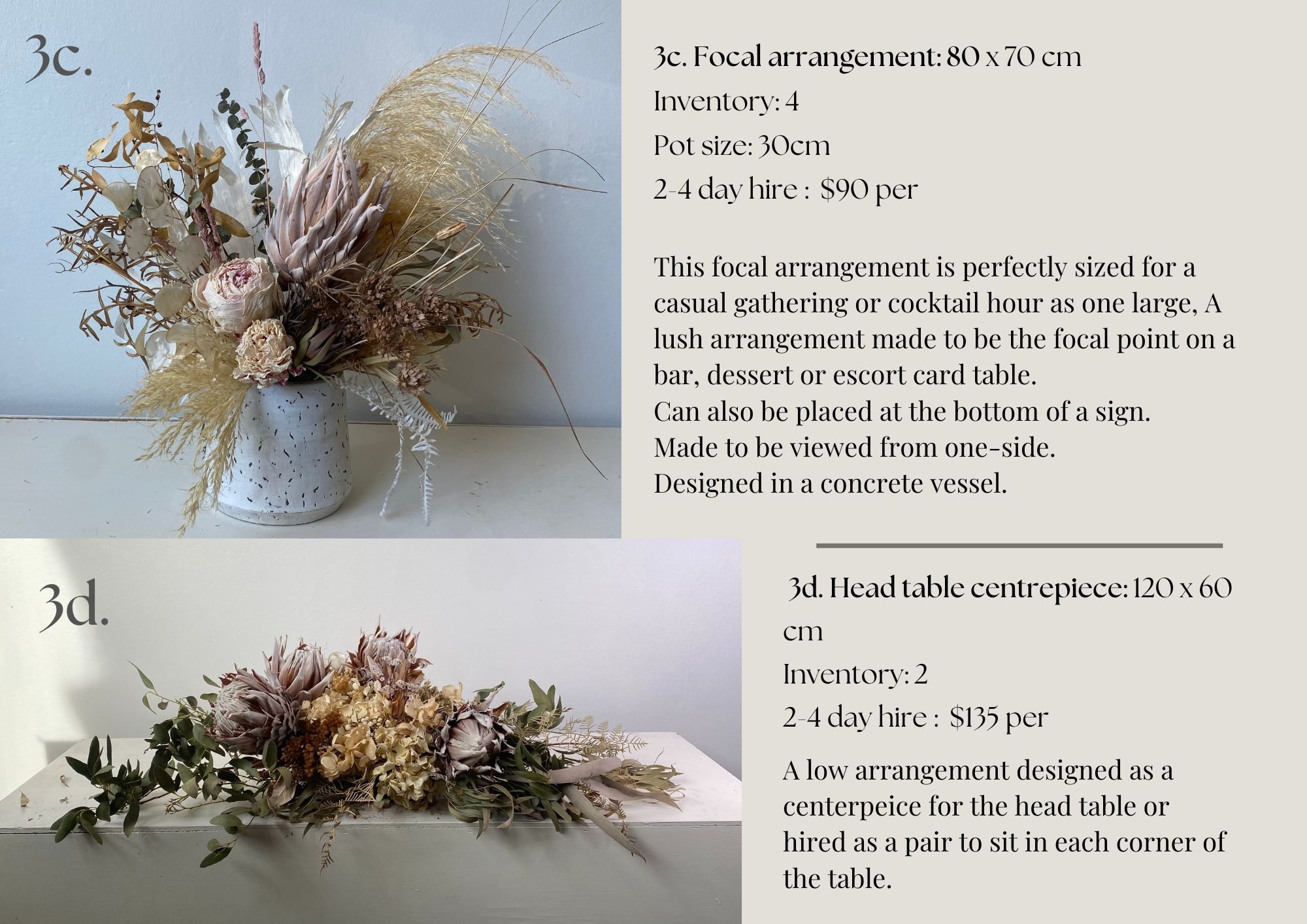 Dried Flower Hire Catalogue 2526 (11).jpg