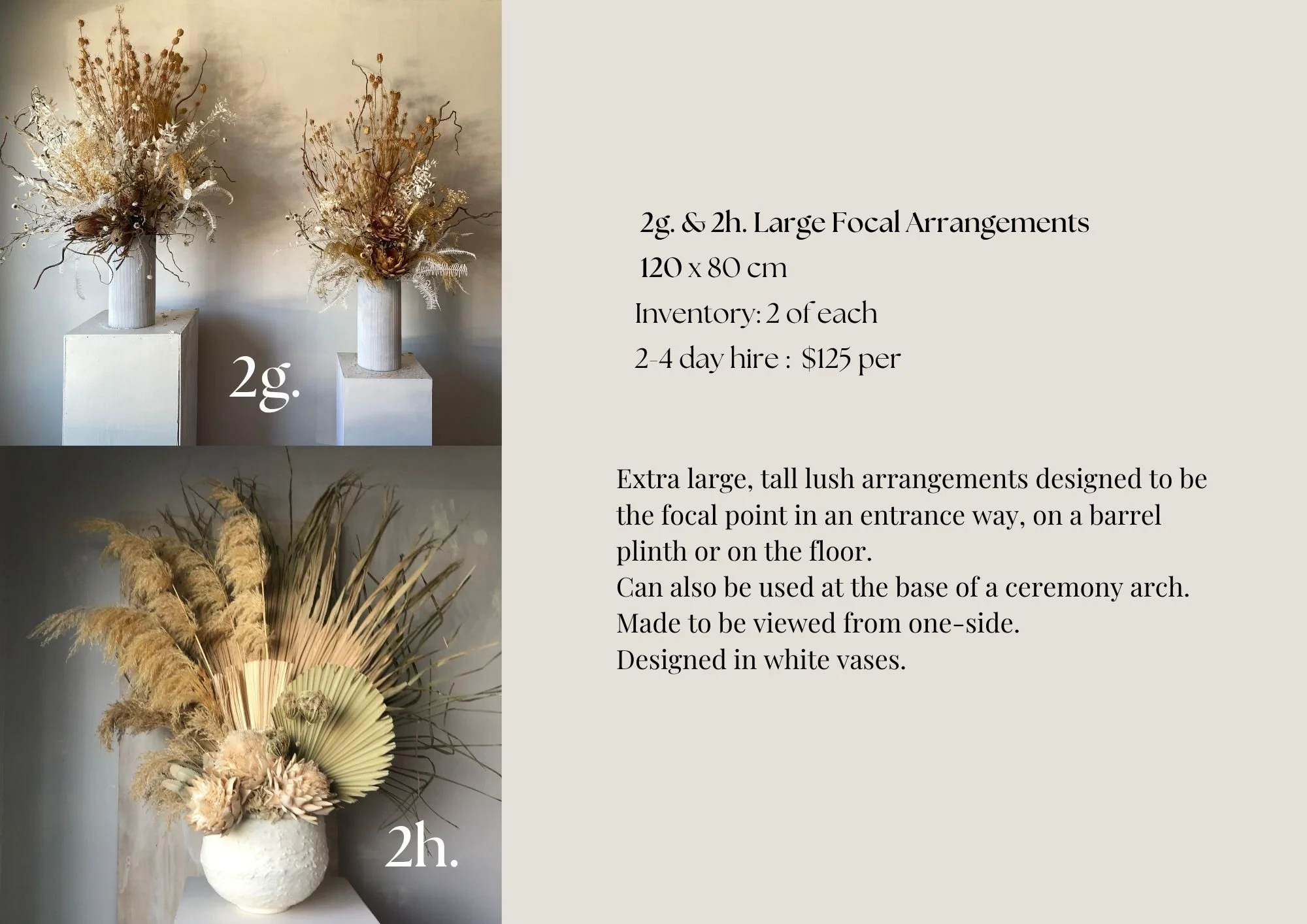 Dried Flower Hire Catalogue 2526 (8).jpg