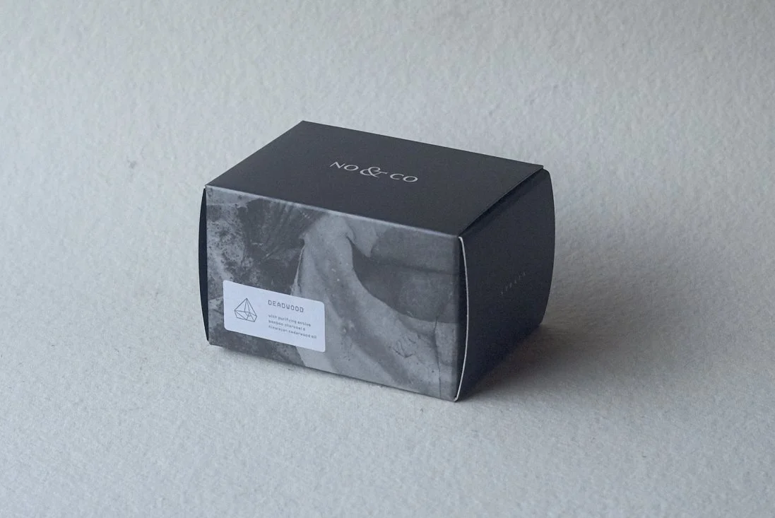 NoandCo_0002.jpg