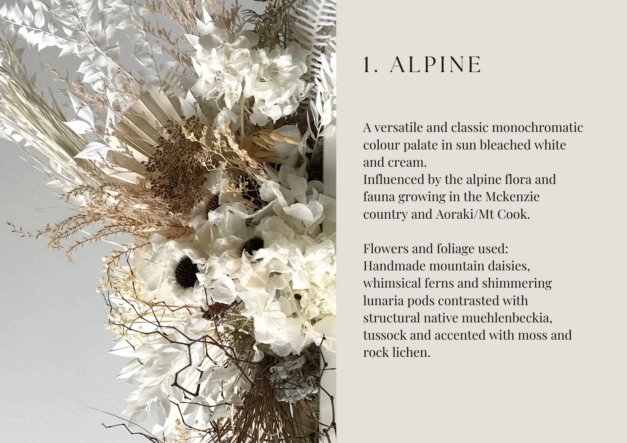Dried Flower Hire Catalogue 2526 (1).jpg