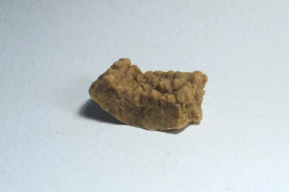 NoandCo_0006.jpg