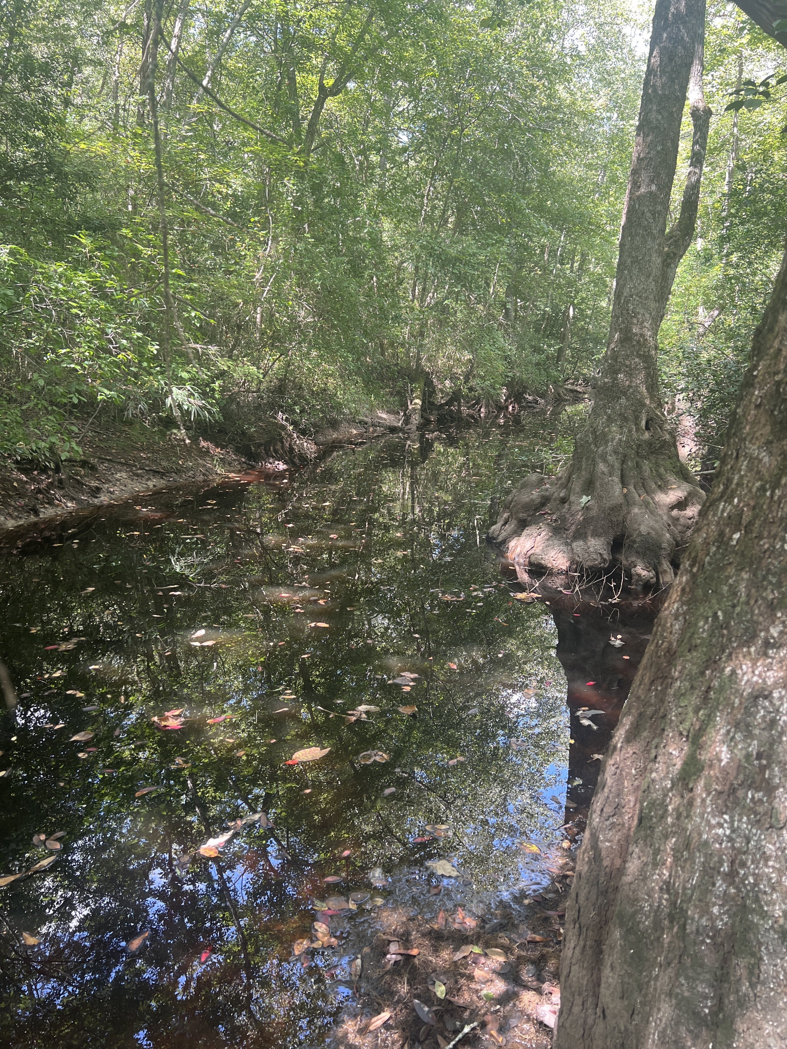 Raccoon Creek in Yale, Virginia photographed by Jessica Clérc Evans