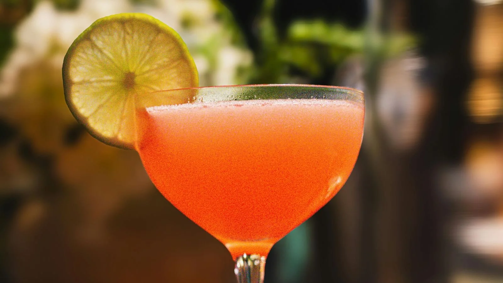 A cocktail glass with a pinkish-orange drink, garnished with a lemon slice on the rim, against a blurred background.