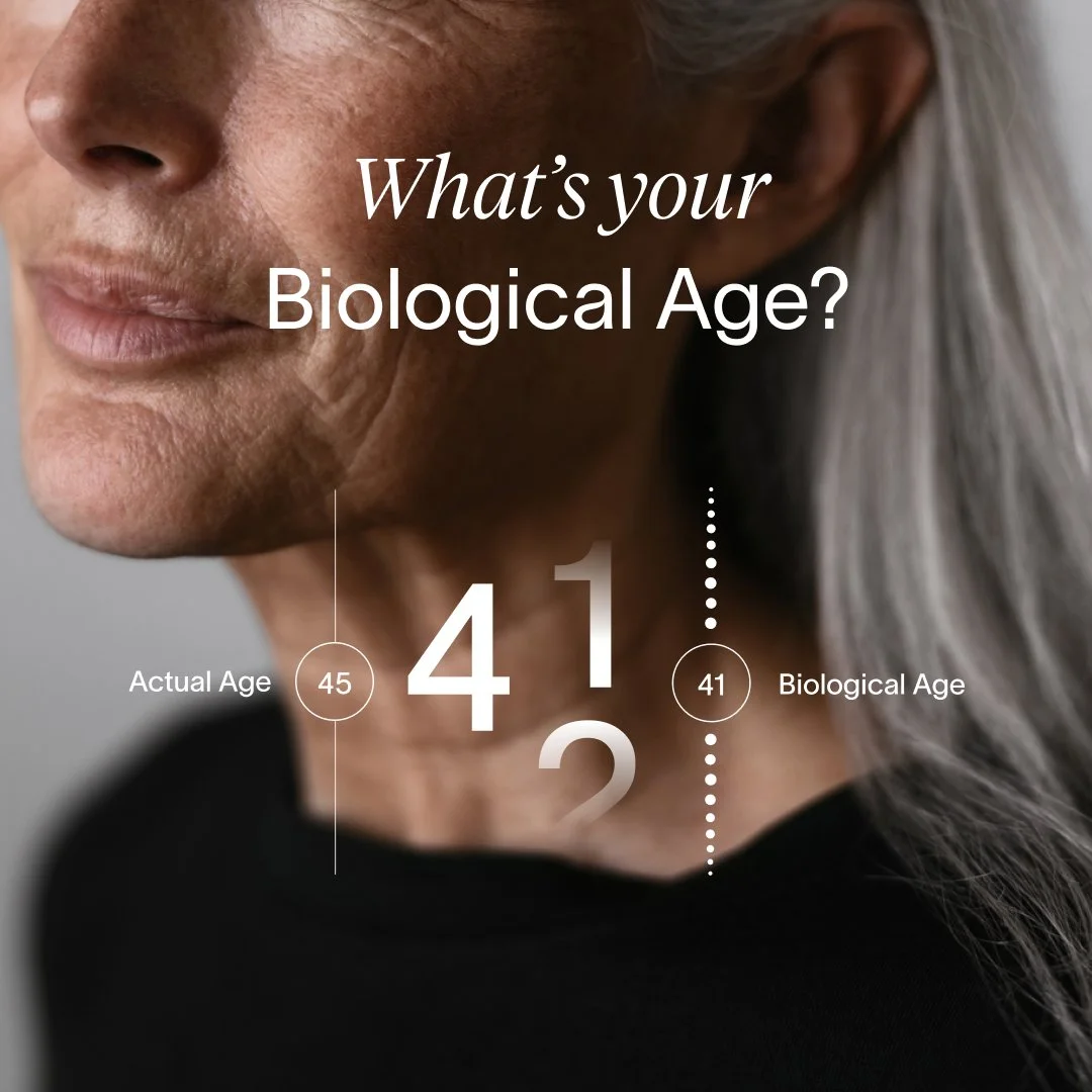 HealthyAging-24-4v2-11_Image.jpg