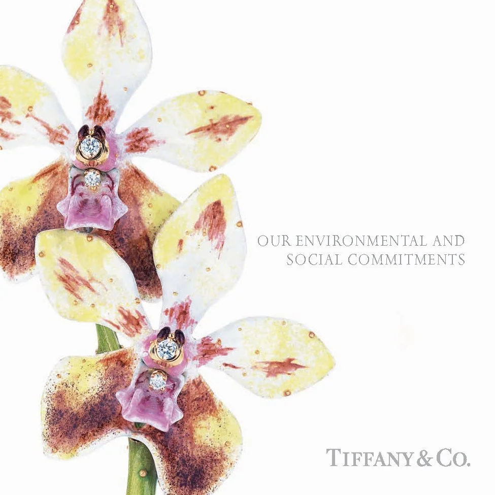 tco_sustainability_Page_01.jpg