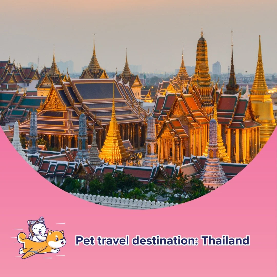 Is relocating pets to Thailand worth it? 

Certainly yes. Thailand is one of most popular destinations in Asia for pet relocations thanks to low cost of living, tasty cuisine, and pleasant climate. However, pet relocation is more than just booking a 
