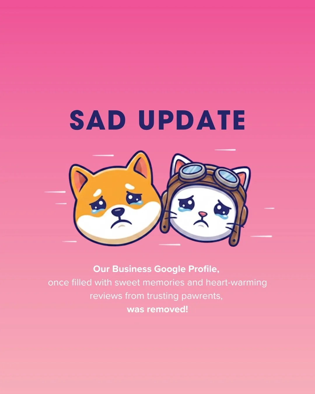Our Google Business profile was recently removed along with all the beautiful reviews from our pawrents and furry travelers. 

We&rsquo;re hoping to restore it&hellip; quickly.

In the meantime, we will keep posting testimonials and reviews here, and