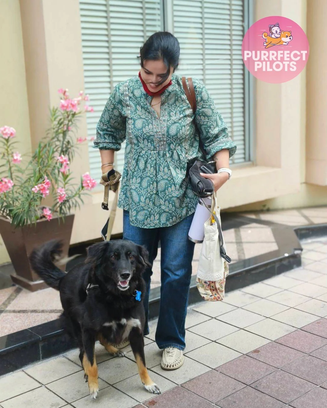 Kuro is off to a new adventure, arriving in Bangkok, Thailand 🐾✈️

He travelled on his own and was reunited with his pawrents in Thailand, making the journey even more special. From one home to another, this marks a fresh start filled with new place