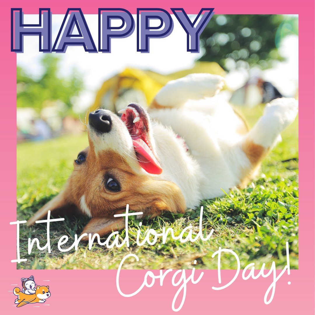 Happy International Corgi day to the fluffiest and chonkiest best friend a human can have 🐾💛

#InternationalCorgiDay #CorgiLove #CorgiLife #DogLovers #FluffyButts