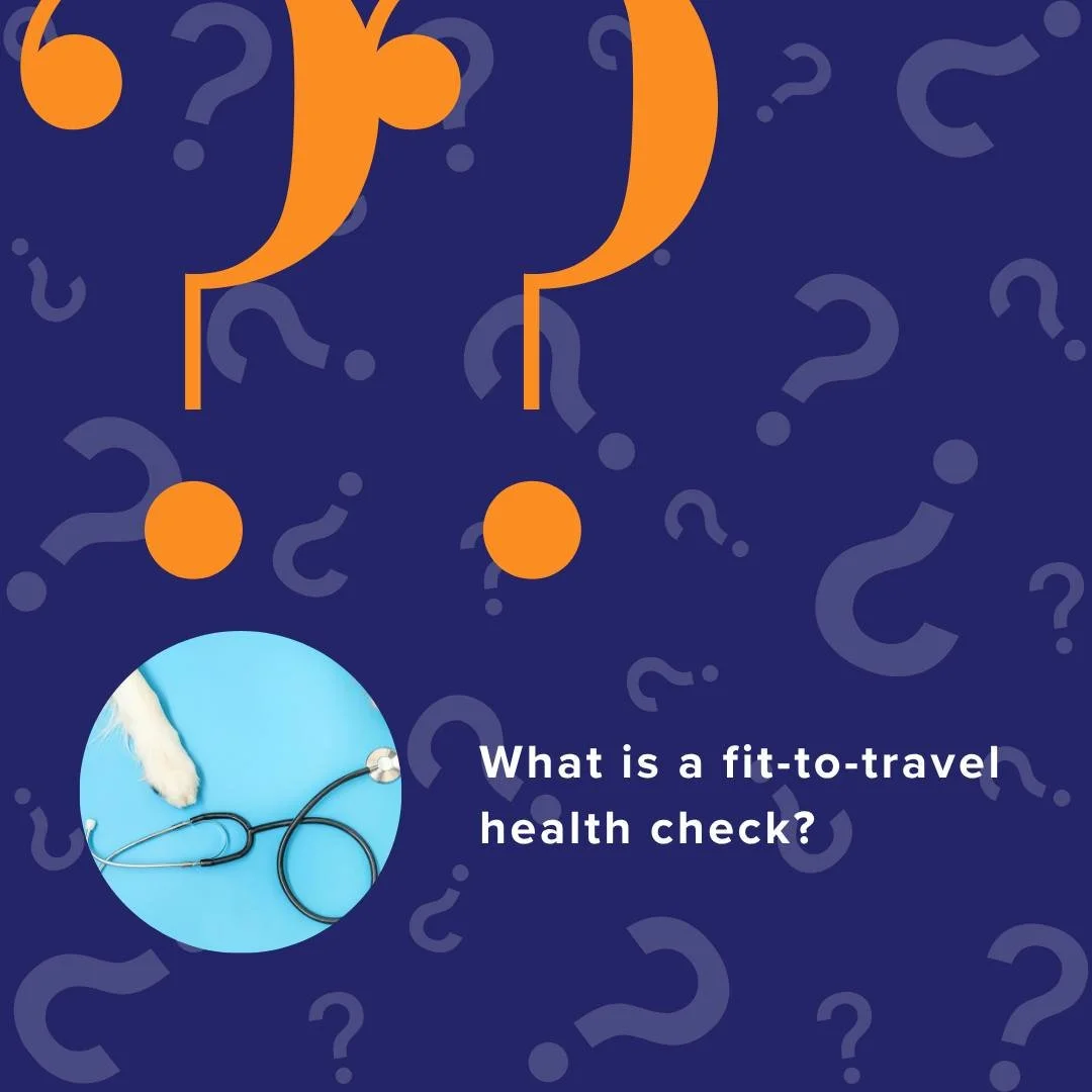 What is a fit-to-travel health check? Swipe to find out! 🧐

#PurrfectPilots #FitToTravelHealthCheck #PetTravel #PetSafety #PetHealth  #ReadyToFly
