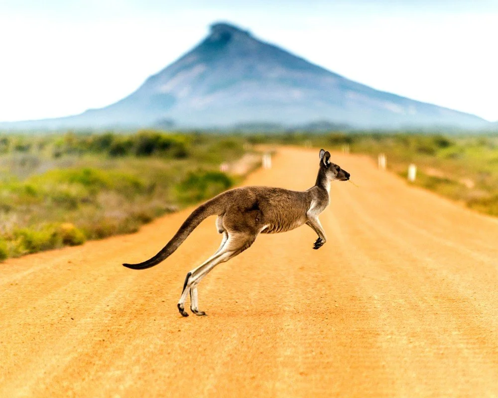 Australia 