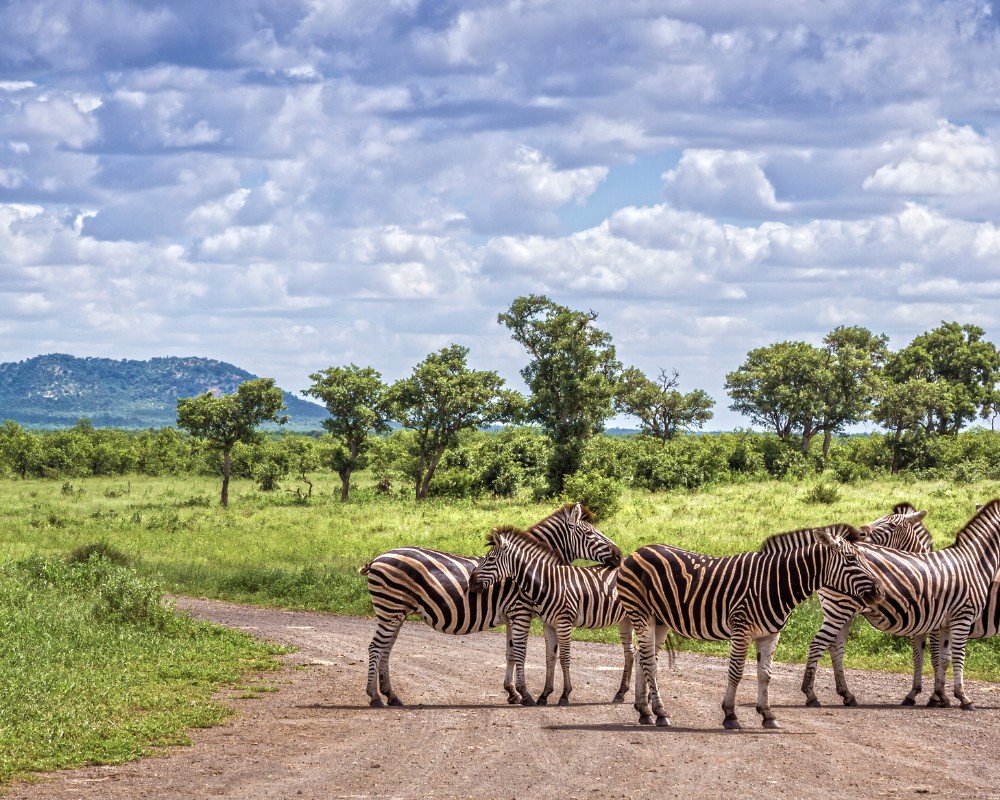 South Africa