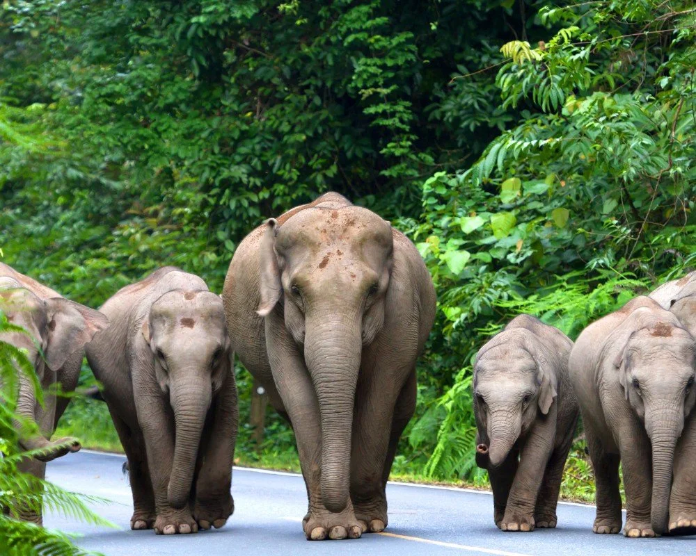 Thailand