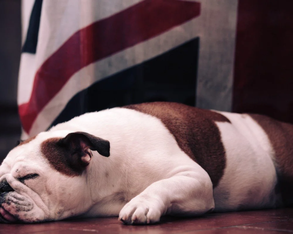 United kingdom