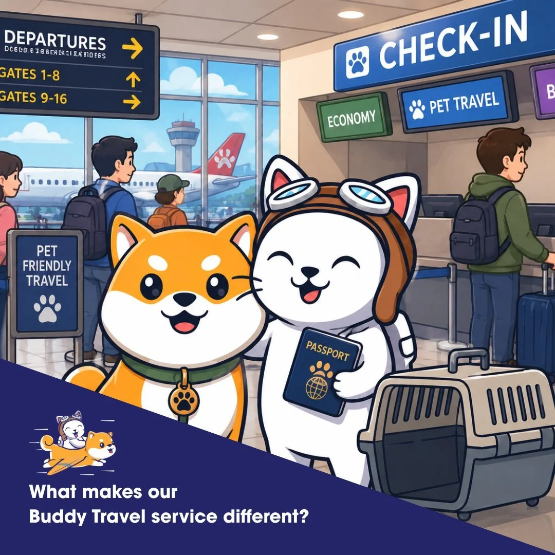 Curious what sets our Buddy Travel service apart?

Swipe to know more!

#PurrfectPilots #BuddyTravelService #TravelBuddy #PetRelocation #SafePetTravel #TravelWithPets