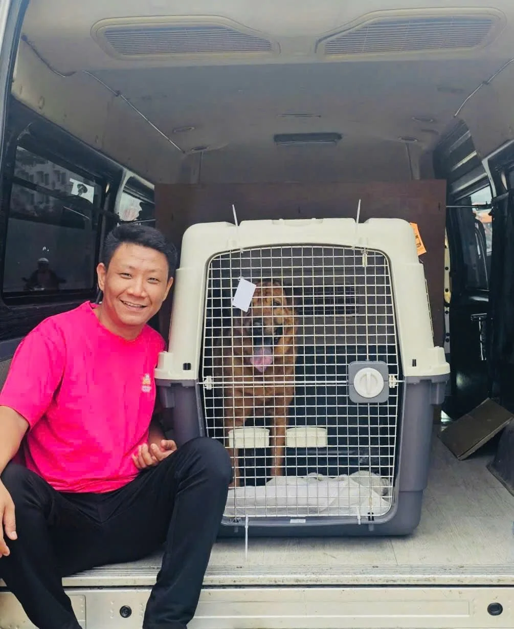 A man in a pink shirt sitting next to a large animal carrier with a happy dog inside, inside a vehicle.