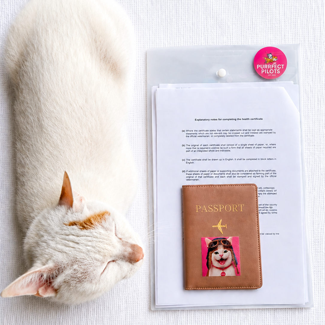 A white cat with orange markings sleeping on a white surface next to a tan passport with a colorful sticker, a stack of papers, and a pink button pin.
