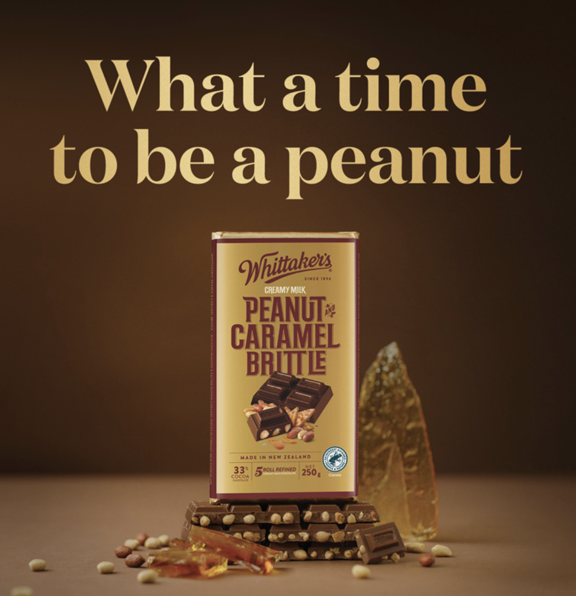 Screen Shot 2025-06-05 at 3.57.07 PM.png