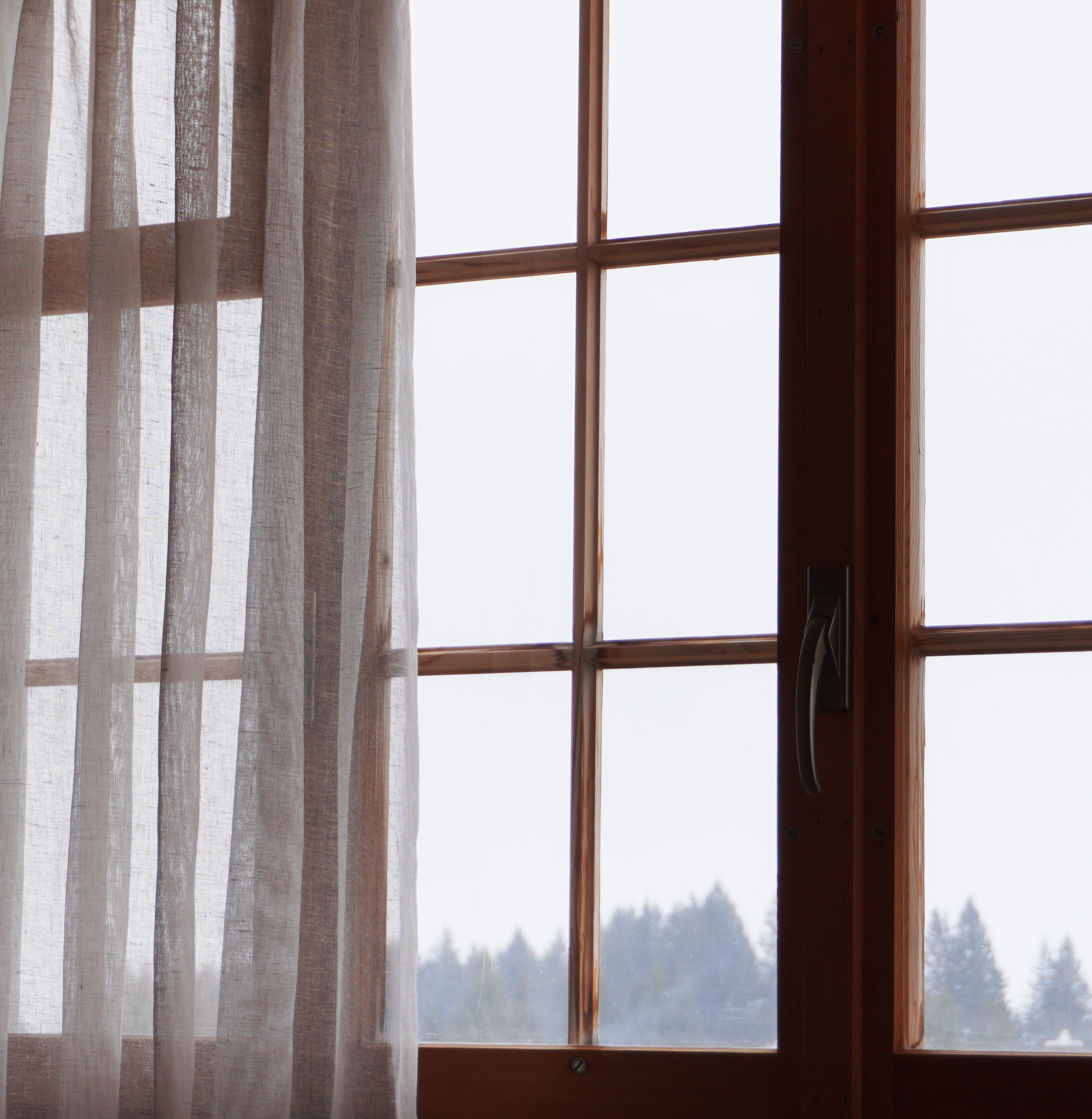Ein Fenster mit durchsichtigen weißen Vorhängen, Blick nach draußen auf einen winterlichen Wald mit schneebedeunten Bäumen, bei Tageslicht.