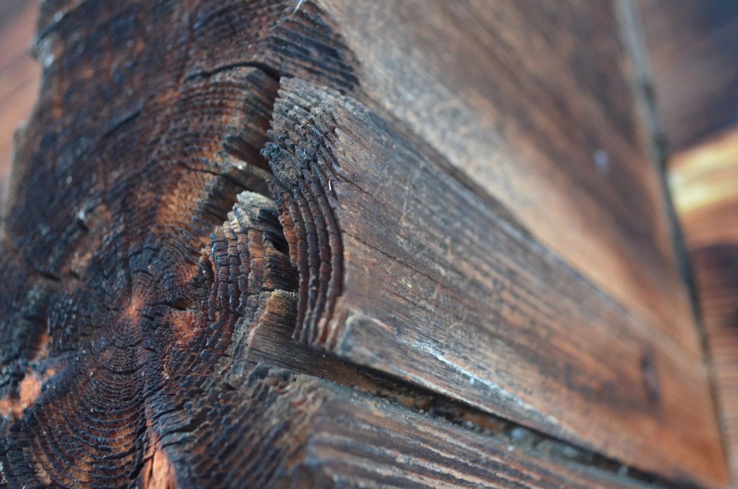 Nahaufnahme von einem alten, braunen Holzbaumstamm mit sichtbaren Ringen und Risskanten.